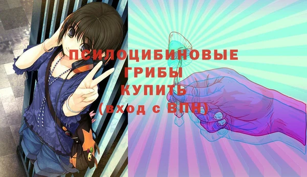 молекула духа Алзамай