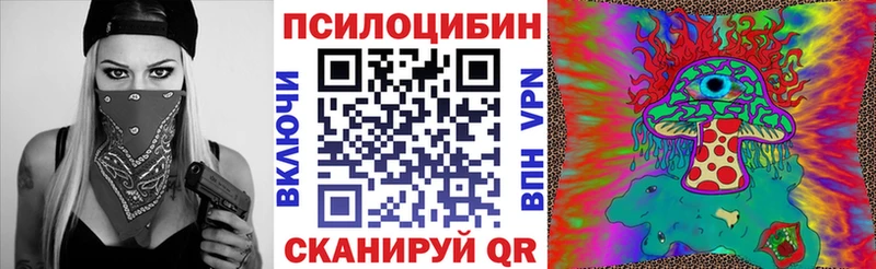 маркетплейс формула  Ардон  Псилоцибиновые грибы Psilocybine cubensis 